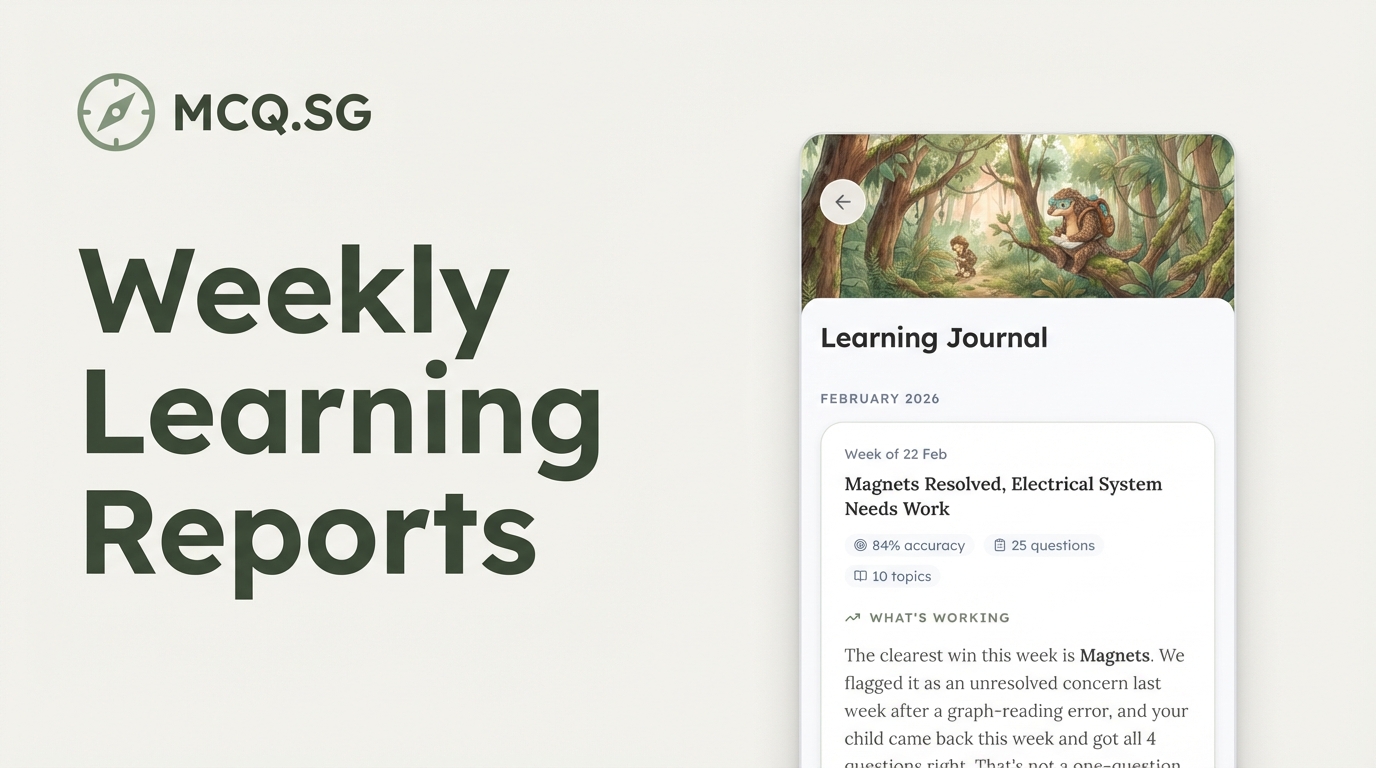 Weekly Learning Reports