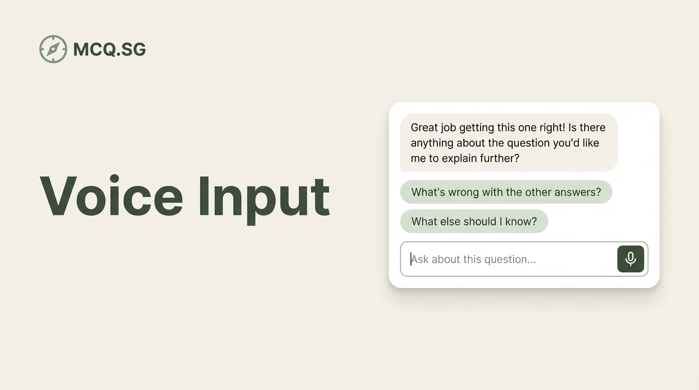Voice Input and Pre-Attempt Chat